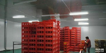 大型飲料廠設(shè)備齊全，急尋合作伙伴 出租轉(zhuǎn)讓，中西餐飲皆宜